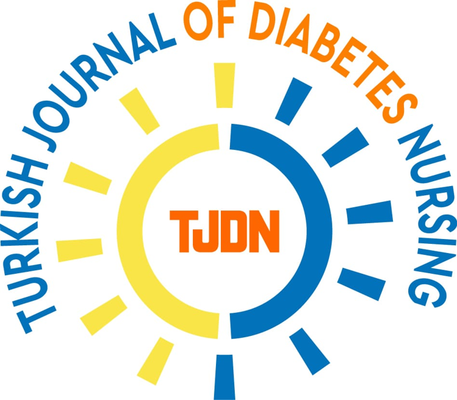 turkish journal of diabetes nursing